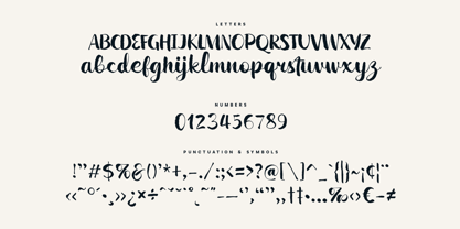 Wildwritten Font Poster 7