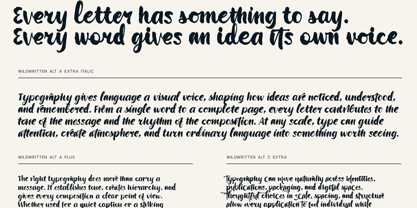 Wildwritten Font Poster 5