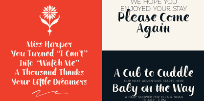 Wildwritten Font Poster 3