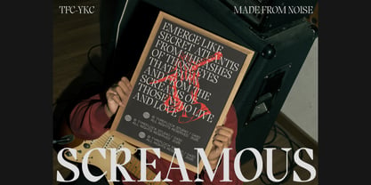 TF Bragado Font Poster 13