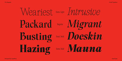 TF Bragado Font Poster 9