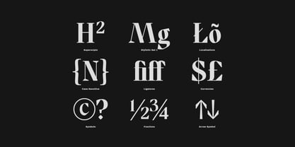 TF Bragado Font Poster 8