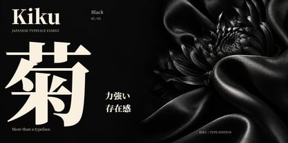 Kiku Font Poster 4