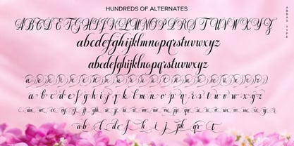 Bheiaga Font Poster 6
