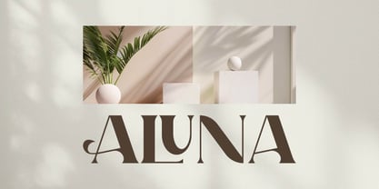 Bigvalue Font Poster 8