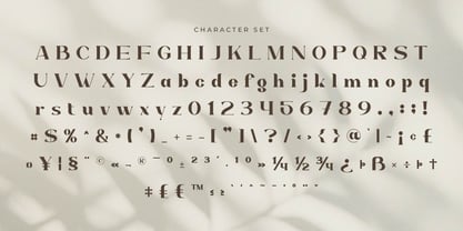Bigvalue Font Poster 2