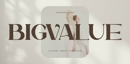 Bigvalue Font Poster 1