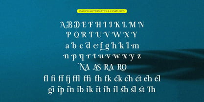 Bailon Font Poster 15