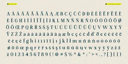 Bailon Font Poster 14