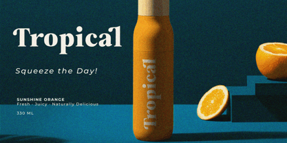 Bailon Font Poster 7
