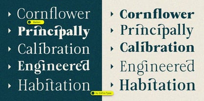 Bailon Font Poster 5