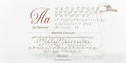 Silken Luxe Font Poster 9