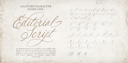 Les Bridgetise Font Poster 7