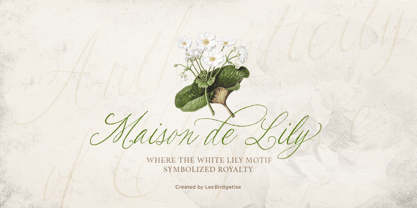 Les Bridgetise Font Poster 5