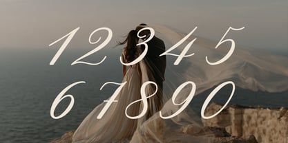Vienna Romance Font Poster 3