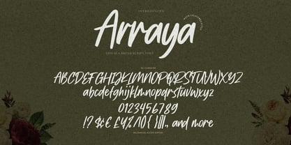 Arraya Font Poster 9