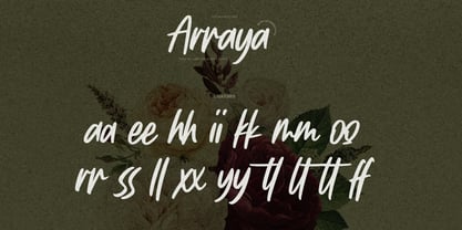 Arraya Font Poster 1