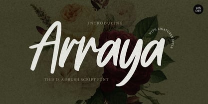 Arraya Font Poster 4