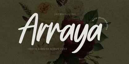 Arraya Font Poster 3