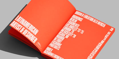 WTF Hammer Font Poster 6