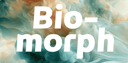 Enorm Font Poster 9