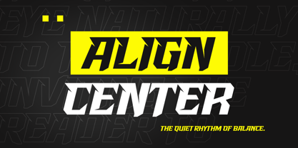 Racing Starter Font Poster 6