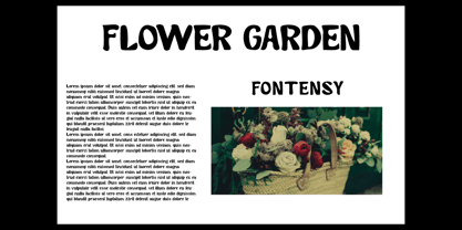 Rovelyn Font Poster 4