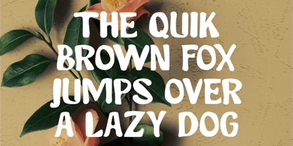 Rovelyn Font Poster 7