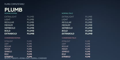 Plumb Font Poster 2