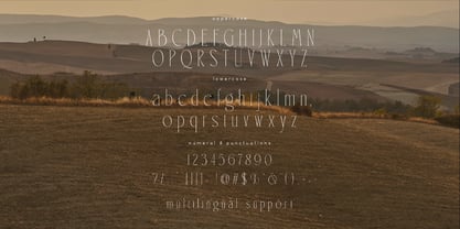 Lameur Font Poster 8