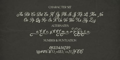 La Moire Font Poster 9