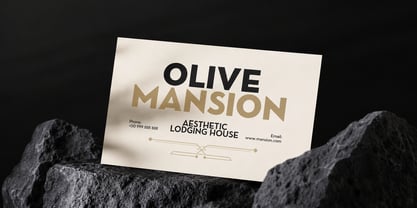 Gilmour Font Poster 4