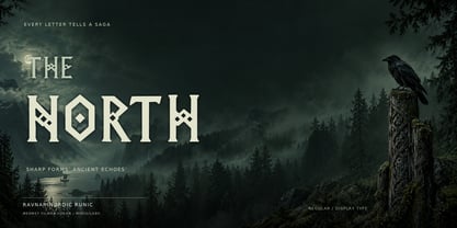 Ravnar Nordic Runic Font Poster 4