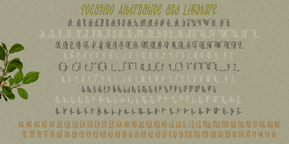 Focasino Font Poster 8