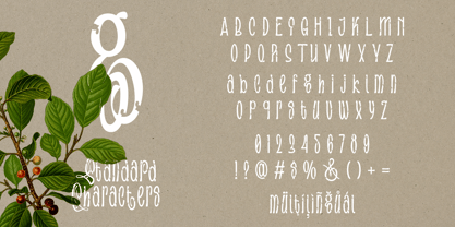 Focasino Font Poster 5