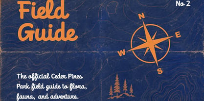 Cedar Valley Font Poster 7