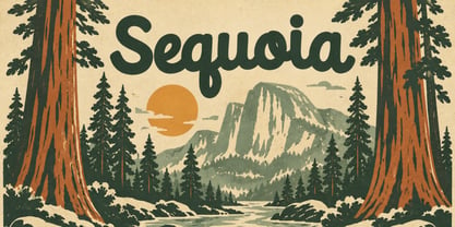 Cedar Valley Font Poster 4