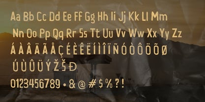 Bensin Rustic Font Poster 2
