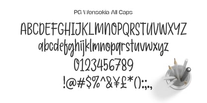 PG Wensokia Font Poster 3