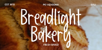 PG Wensokia Font Poster 8