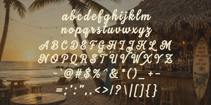Coastal Honey Font Poster 11