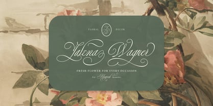 Her Majeste Font Poster 4