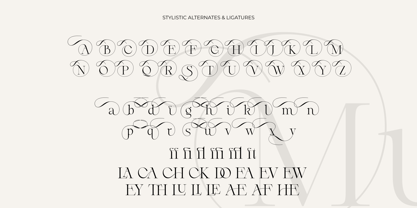 Mustinya Font Poster 11