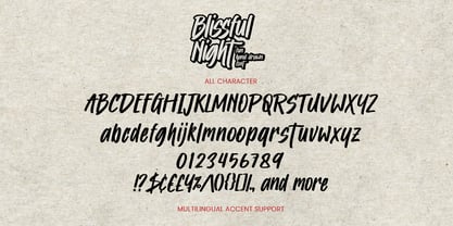Blissful Night Font Poster 6