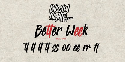 Blissful Night Font Poster 7