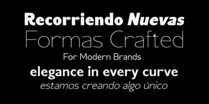 Cadge Sans Font Poster 3