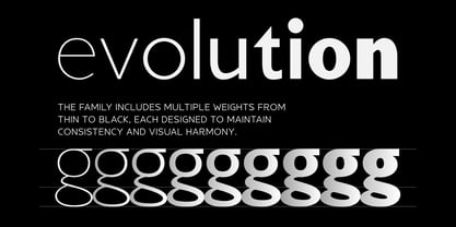 Cadge Sans Font Poster 2