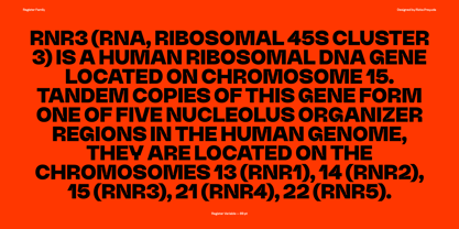 Register Font Poster 2