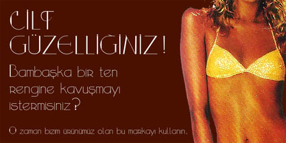 Novran Light Font Poster 5