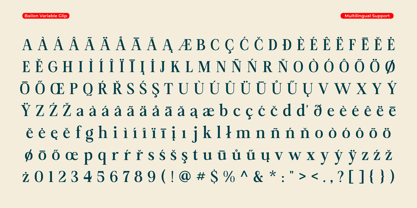 Bailon Variable Font Poster 5
